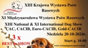 XIII Krajowa Wystawa Psów Rasowych oraz XI Międzynarodowa Wystawa Psów Rasowych (CAC, CACIB, EURO-CACIB, GOLD-CACIB)