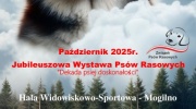 Jubileuszowa Wystawa Psów Rasowych w Mogilnie 